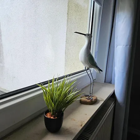 Pfoetchen-residenz-neu Stuer