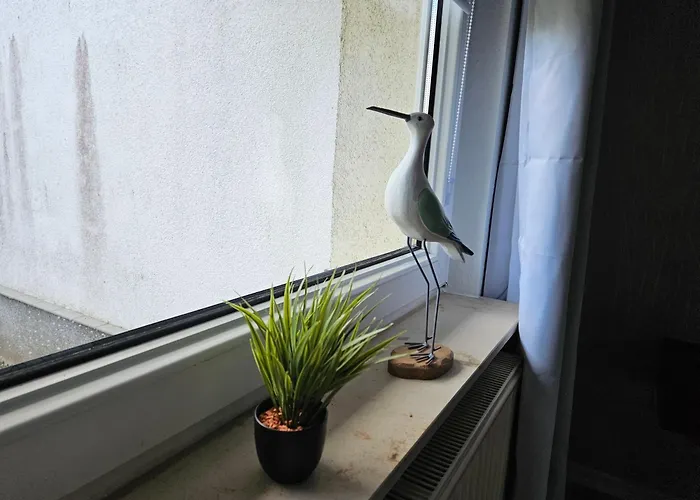 Pfoetchen-residenz-neu Stuer